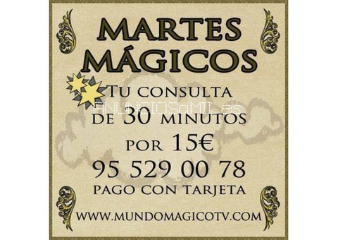 MUNDO MÁGICO TV ES EL PROGRAMA LÍDER DE LA TELEVISIÓN ONLINE ESOTÉRICA