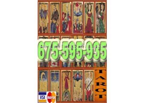 Te brindare mis conocimientos en tarot