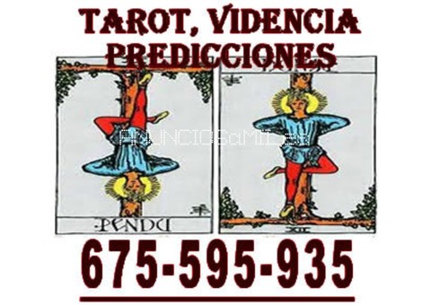 Soy la persona que te acompañara al exito