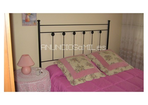 Se alquila chalet en Navaluenga (Avila)