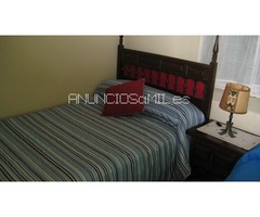 Se alquila chalet en Navaluenga (Avila)