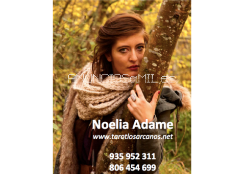 tarot de los arcanos