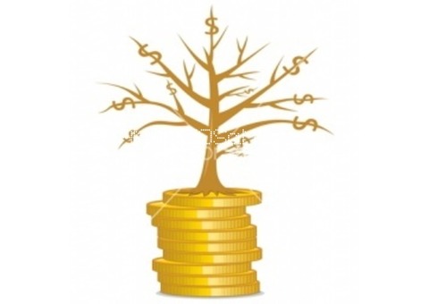 Inversión, podemos financiar su proyecto