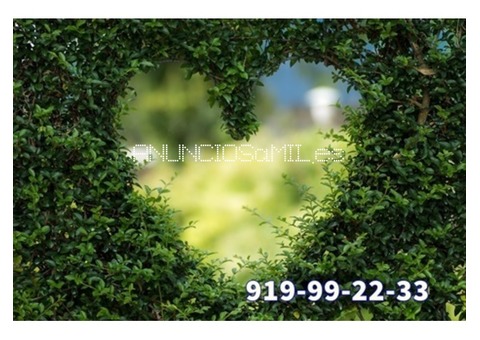 Amor y videncia 10 min 5 eur