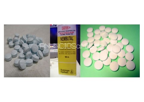 Nembutal disponible hoy a precios asequibles...
