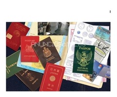 Nembutal disponible hoy a precios asequibles...