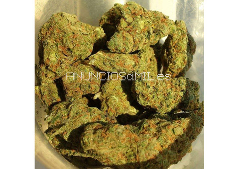 Compre marihuana medicinal de alto grado, Hash, BHO,   aceite de cannabis