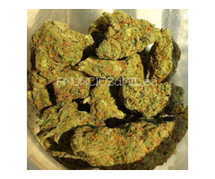 Compre marihuana medicinal de alto grado, Hash, BHO,   aceite de cannabis