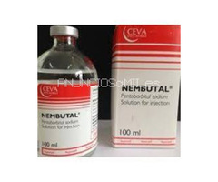 Nembutal, Kenzo, Éxtasis, Metanfetamina, Cianuro de potasio, Mdma, Mefedrona