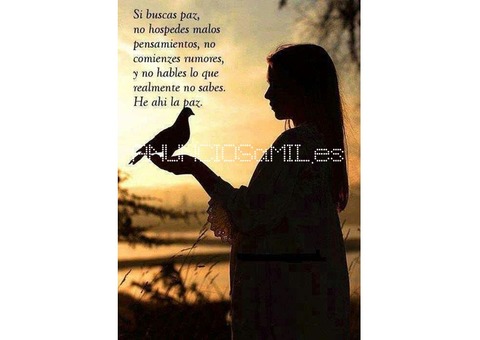 El Tarot De La Madre Paz