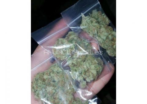 Cepas de marihuana de alta calidad y productos de marihuana a la venta