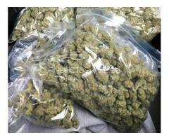 Cepas de marihuana de alta calidad y productos de marihuana a la venta