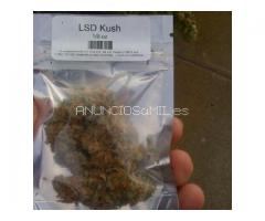 Buy Ibogaine, Diazepam, Alprazolam,Mephedrone, Cocaine, Ketamine