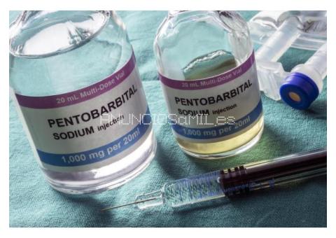 COMPRE DINERO FALSO DE ALTA CALIDAD CON SOLUCIÓN SSD EN LÍNEA EN