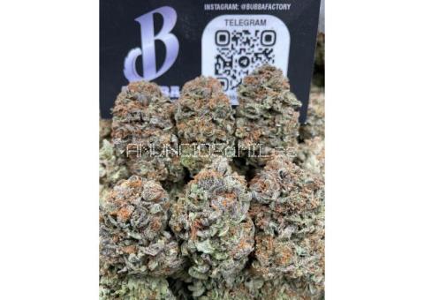 Buy Crystal Ketamine MDMA, Ecstasy, Cocaine, TEXT:+1 (949)216-3252,
