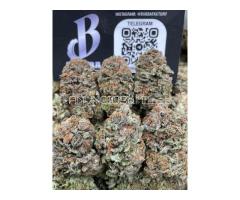 Buy Crystal Ketamine MDMA, Ecstasy, Cocaine, TEXT:+1 (949)216-3252,