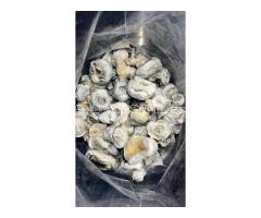 Buy CBG, THCV ,CBN, Moonrock, THC, Cloned cards, CBD, Shrooms