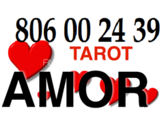 Aida tarotista experta