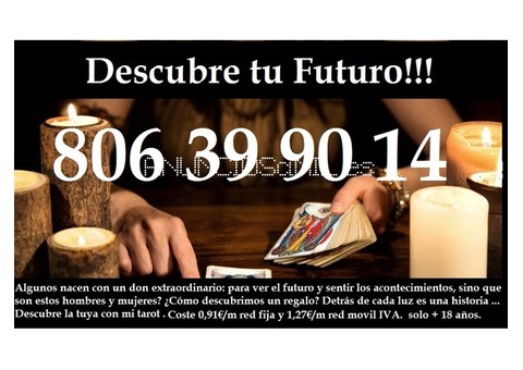 Descubre los mejores profesionales