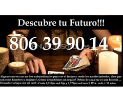 Descubre los mejores profesionales