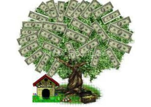Loans and Credit Financing
