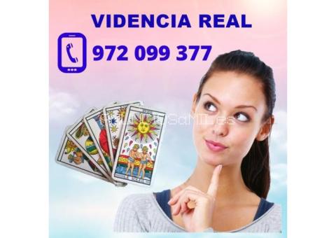 TE DAMOS DATOS CONCRETOS 15 MIN 5 EUR-24H