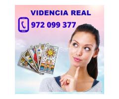 TE DAMOS DATOS CONCRETOS 15 MIN 5 EUR-24H