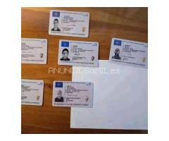 ID/Passport/License/Diplomas/Certificates WhatsApp: +27642900428