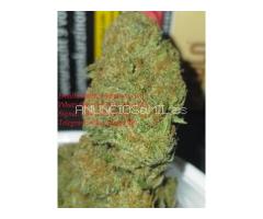 Buy pure MDMA for sale Signal: (+34 607218704)