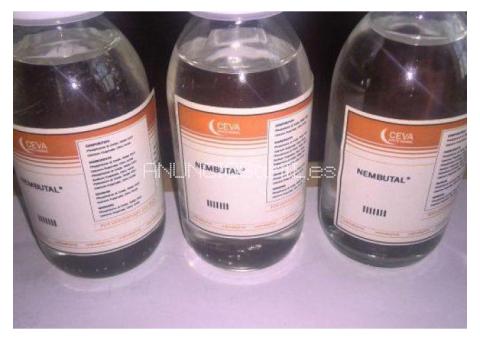 Nembutal pentobarbital, rubifen