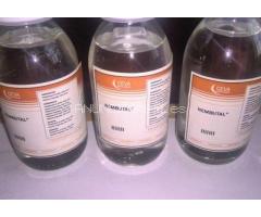 Nembutal pentobarbital, rubifen