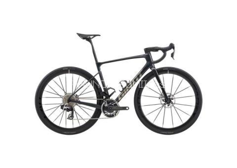 2026 Giant Defy Advanced SL 0 Road Bike (BORNEOBIKESHOP)