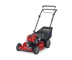Toro Recycler 22" Self-Propelled Gas Lawn Mower
