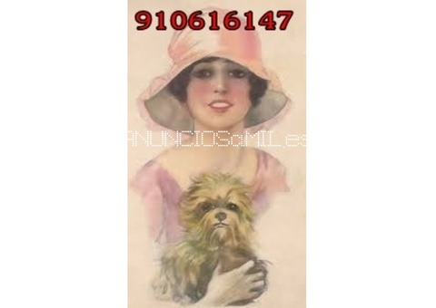 100X100 aciertos 15 min 4 eur 910616147
