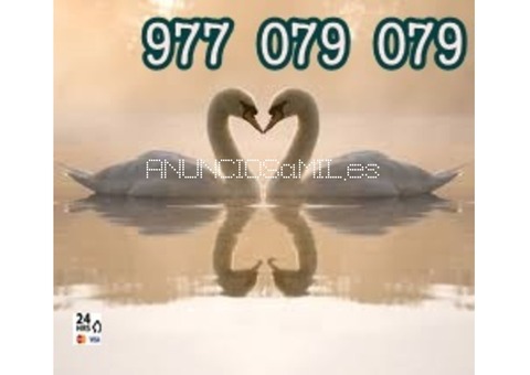 Tarot alta videncia 8€ 30 min