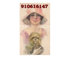 TAROT SERIO Y PROFESIONAL 910616147  15MIN 4 EUR