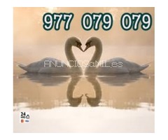 910616147 Soy vidente natural 15 min 4,5 eur